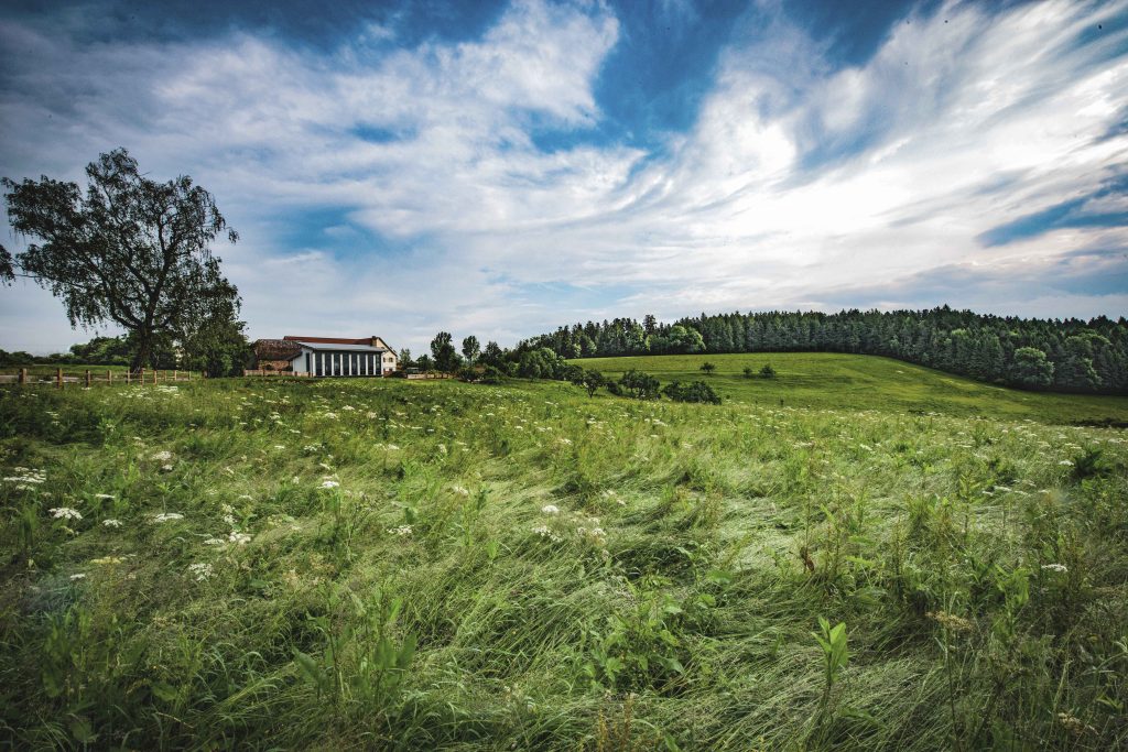 Blick über eine blühende Wiese auf das Gebäude der Destillerie am Waldrand, darüber ein Wolkenhimmel
