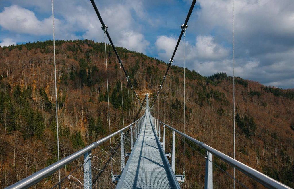 Blick über den Laufsteg der Hängebrücke auf den bewaldeten Hang gegenüber, die Tragseile laufen nach oben aus dem Bild