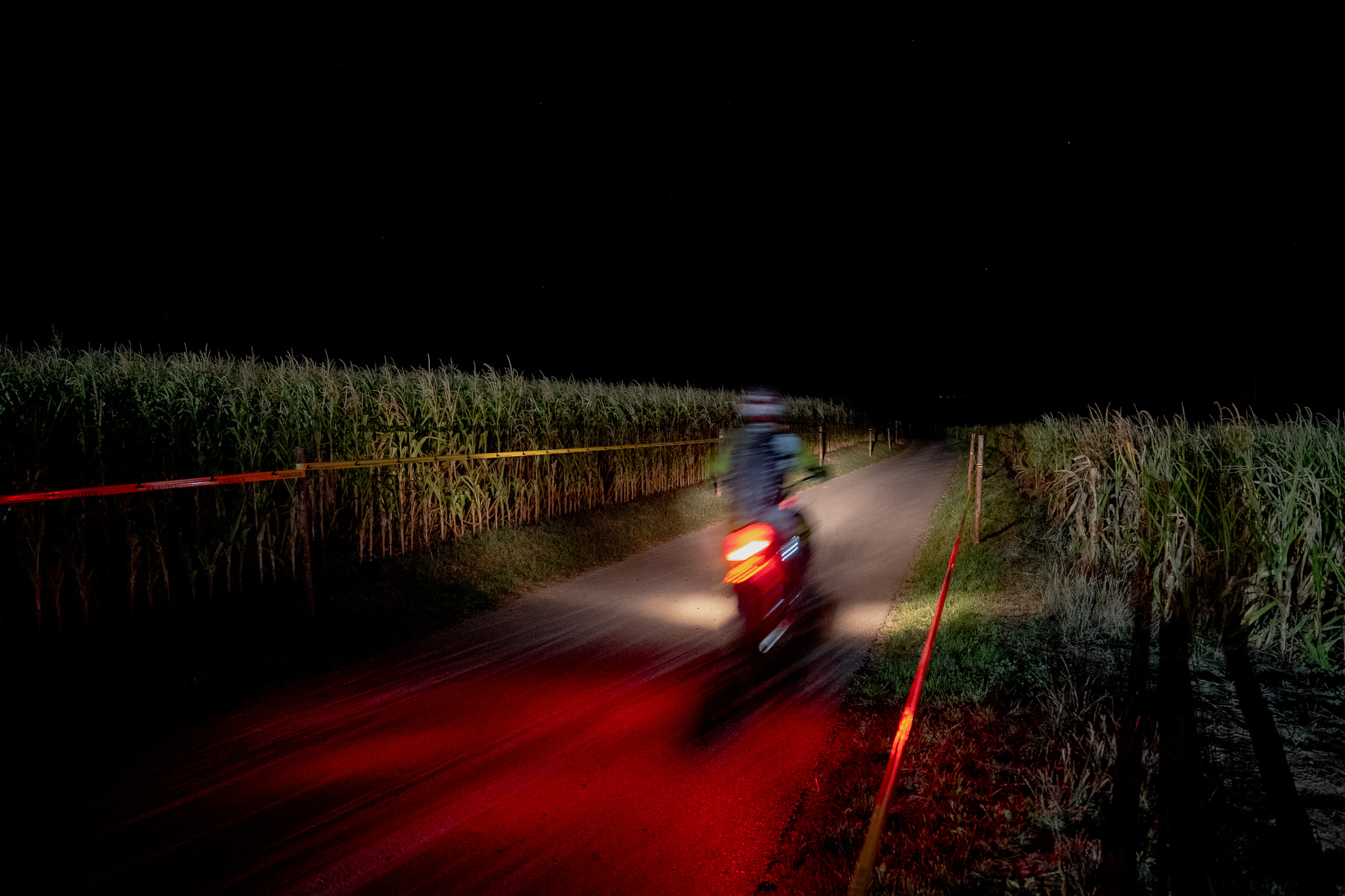 Nachts: Ein Mofa mit rotem Rücklicht fährt auf einem schmalen asphaltierten Feldweg zwischen zwei Maisfeldern, rote Lichtspur auf dem Asphalt, schwarzer Himmel