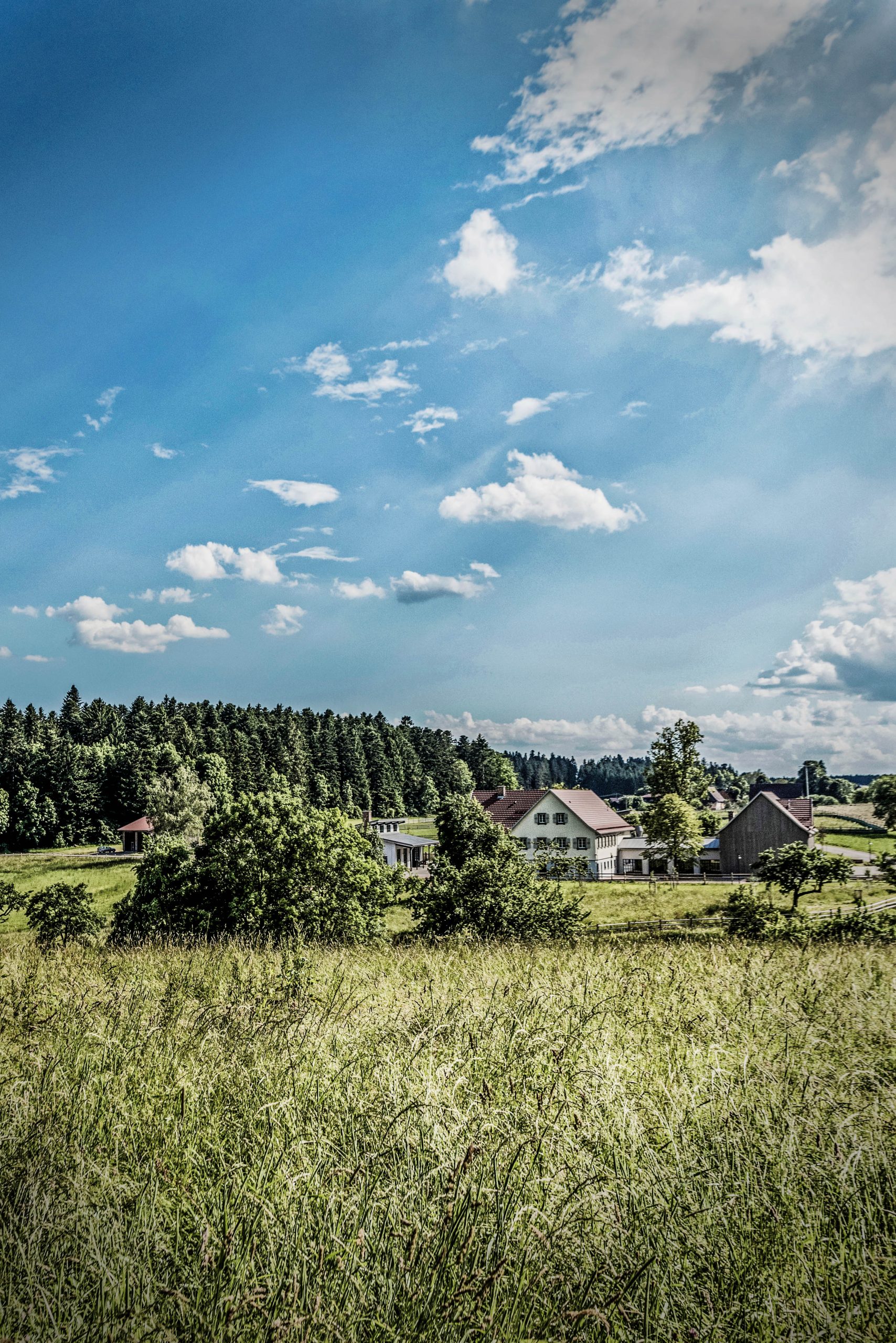 Hohes Gras im Vordergrund, dahinter die Häuser des Weilers und der Wald unter einem Wolkenhimmel