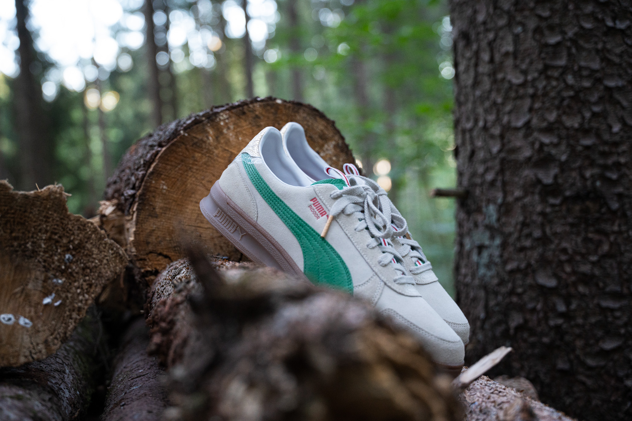 PUMA x Rothaus Indoor in Alpine Snow und Desert Dust mit grünem Formstrip vor einer Fichte