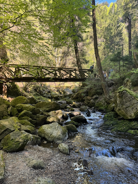Holzbrücke über den Bach in der Ravennaschlucht, bemooste Felsen im Wald