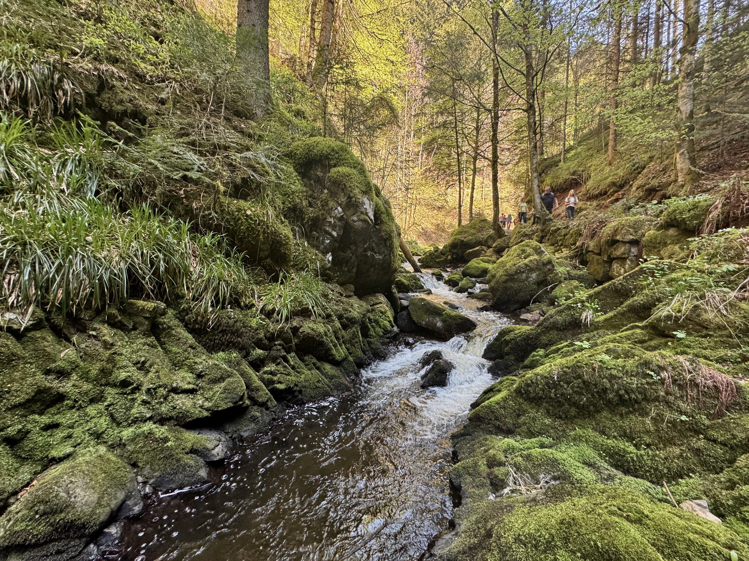 Der Ravennabach zwischen moosbewachsenen Felsen in der Schlucht, oben rechts Wanderer auf dem Pfad