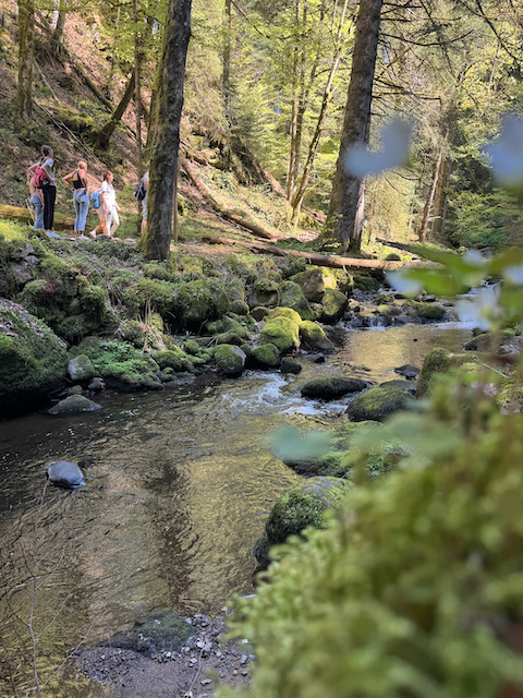 Eine Gruppe Wanderer steht am Ufer des Ravennabachs auf moosbedeckten Steinen im lichten Wald
