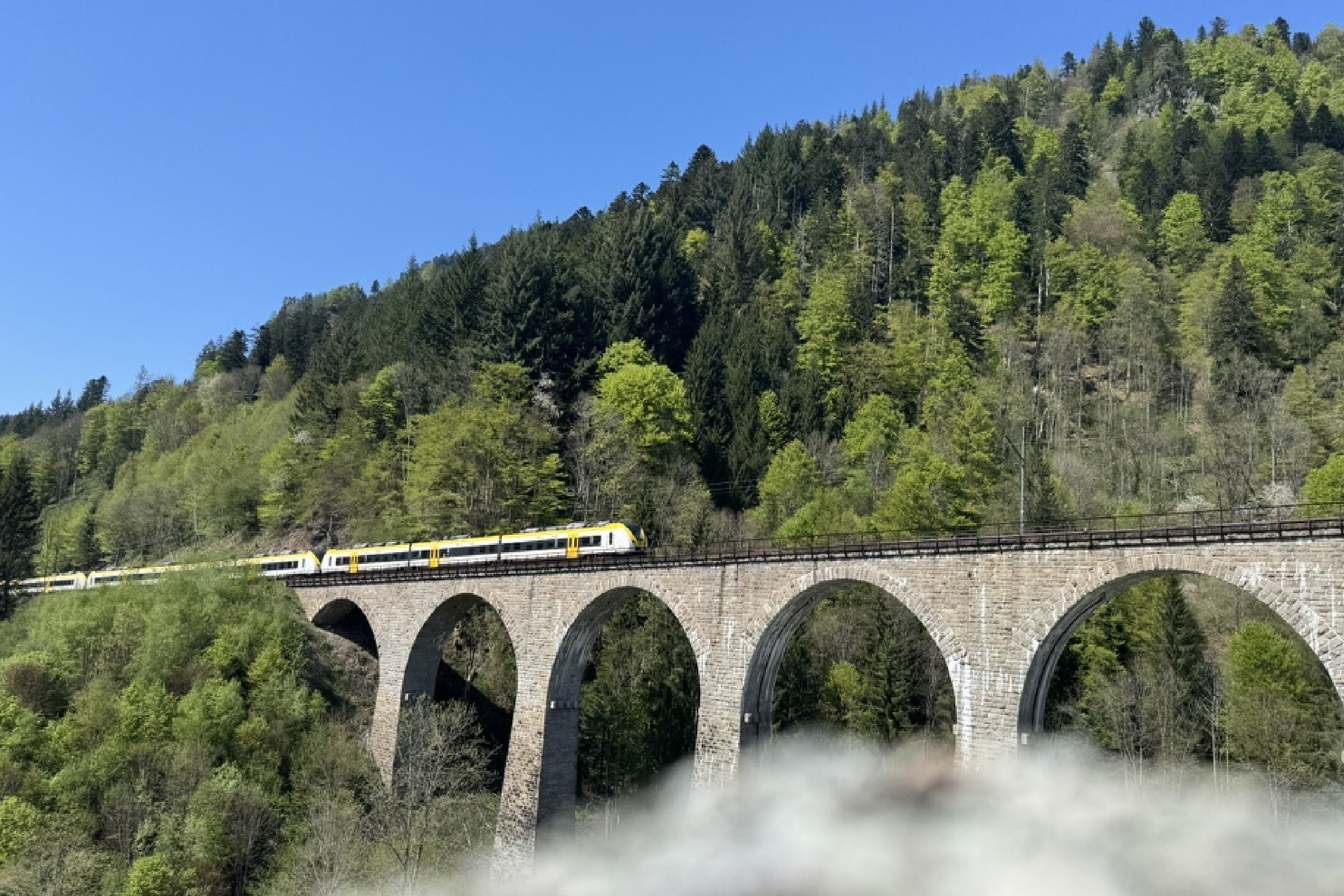 Die Ravennaschlucht im südlichen Schwarzwald