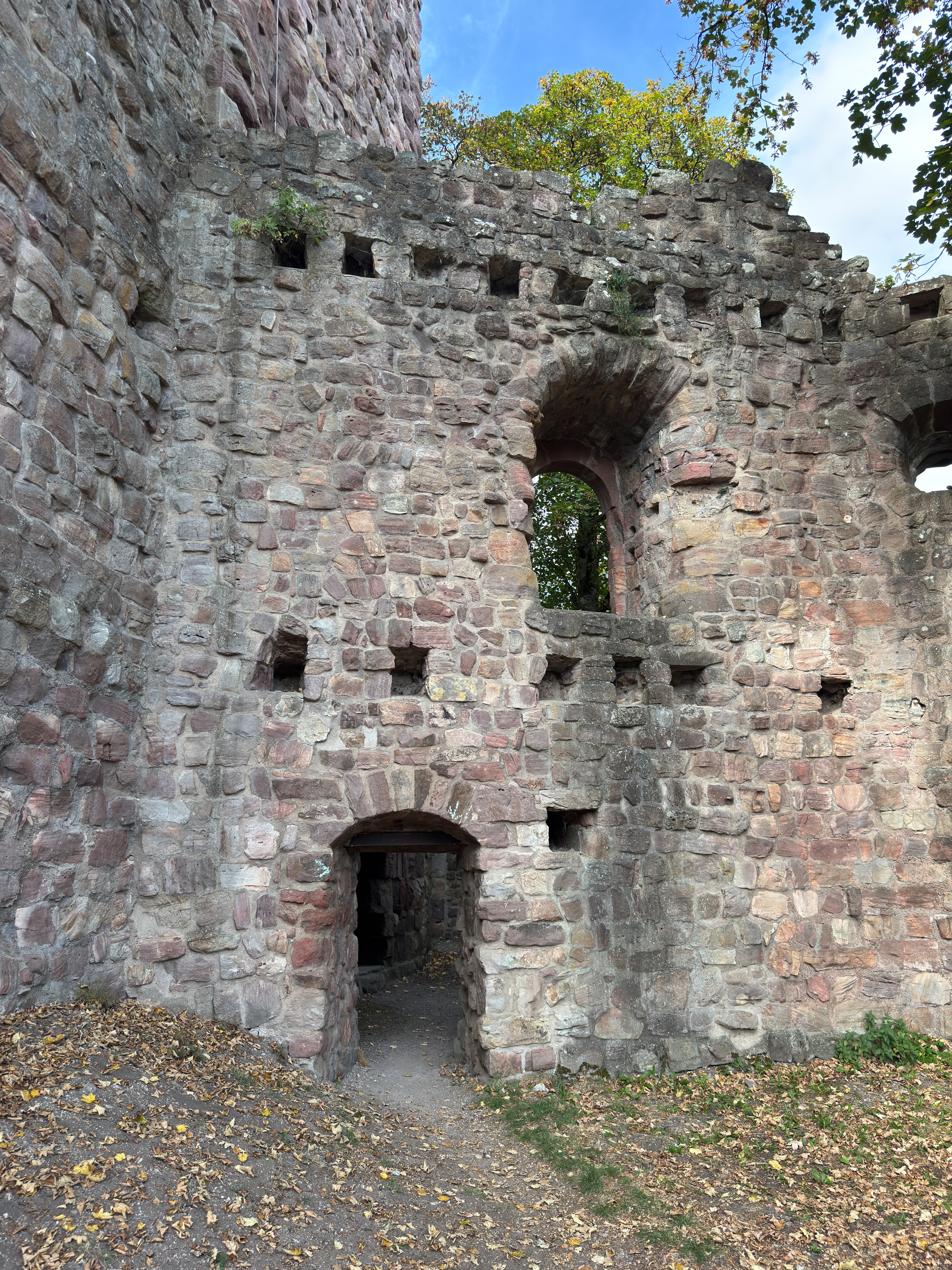 Mauer der Ruine Waldau mit einem gemauerten Fensterbogen, Balkenlöchern und einem niedrigen Durchgang ins Innere