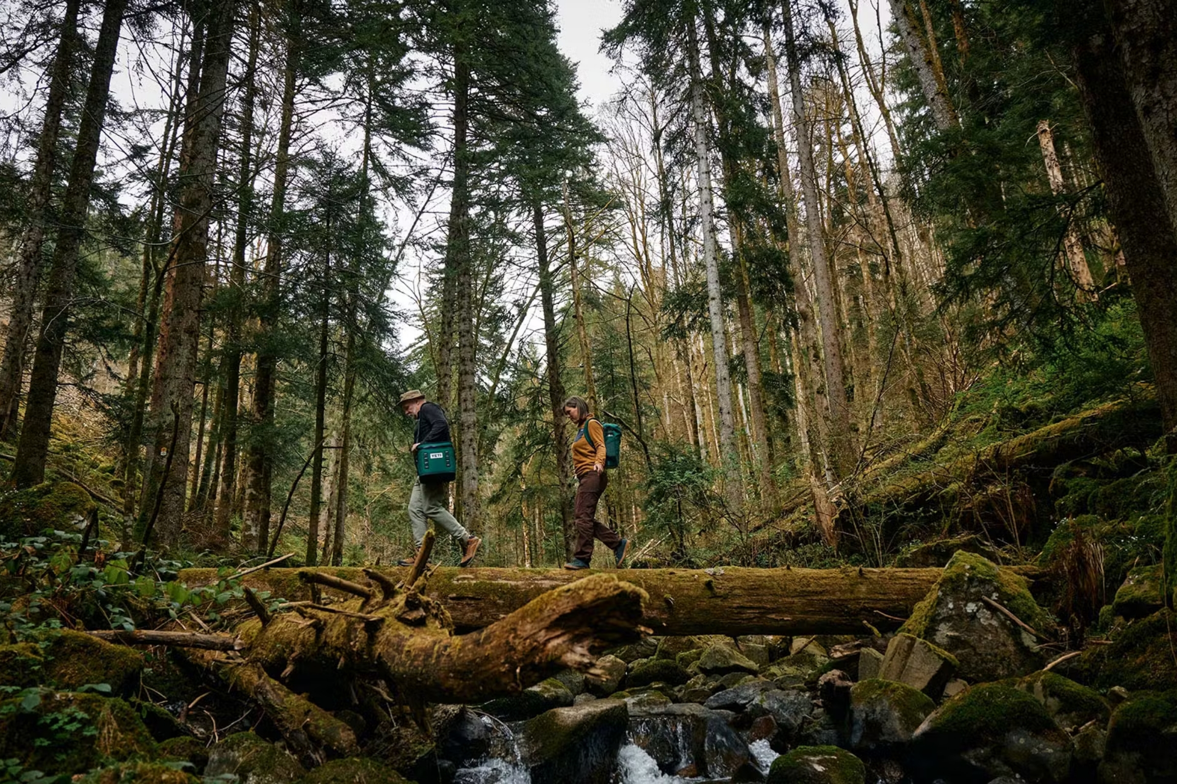 Zwei Menschen balancieren über einen bemoosten Baumstamm in einem dichten Nadelwald, einer trägt eine grüne YETI-Kühltasche, der andere einen grünen Rucksack