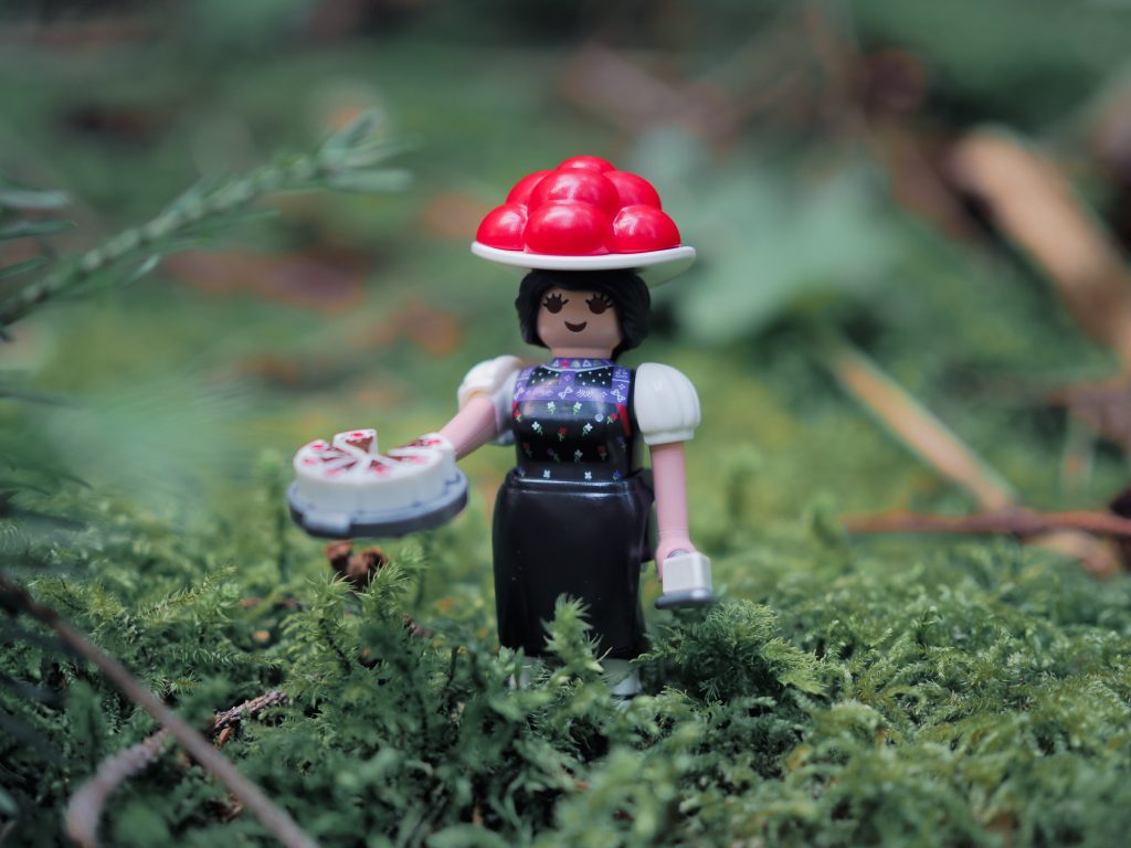 Playmobil 71979