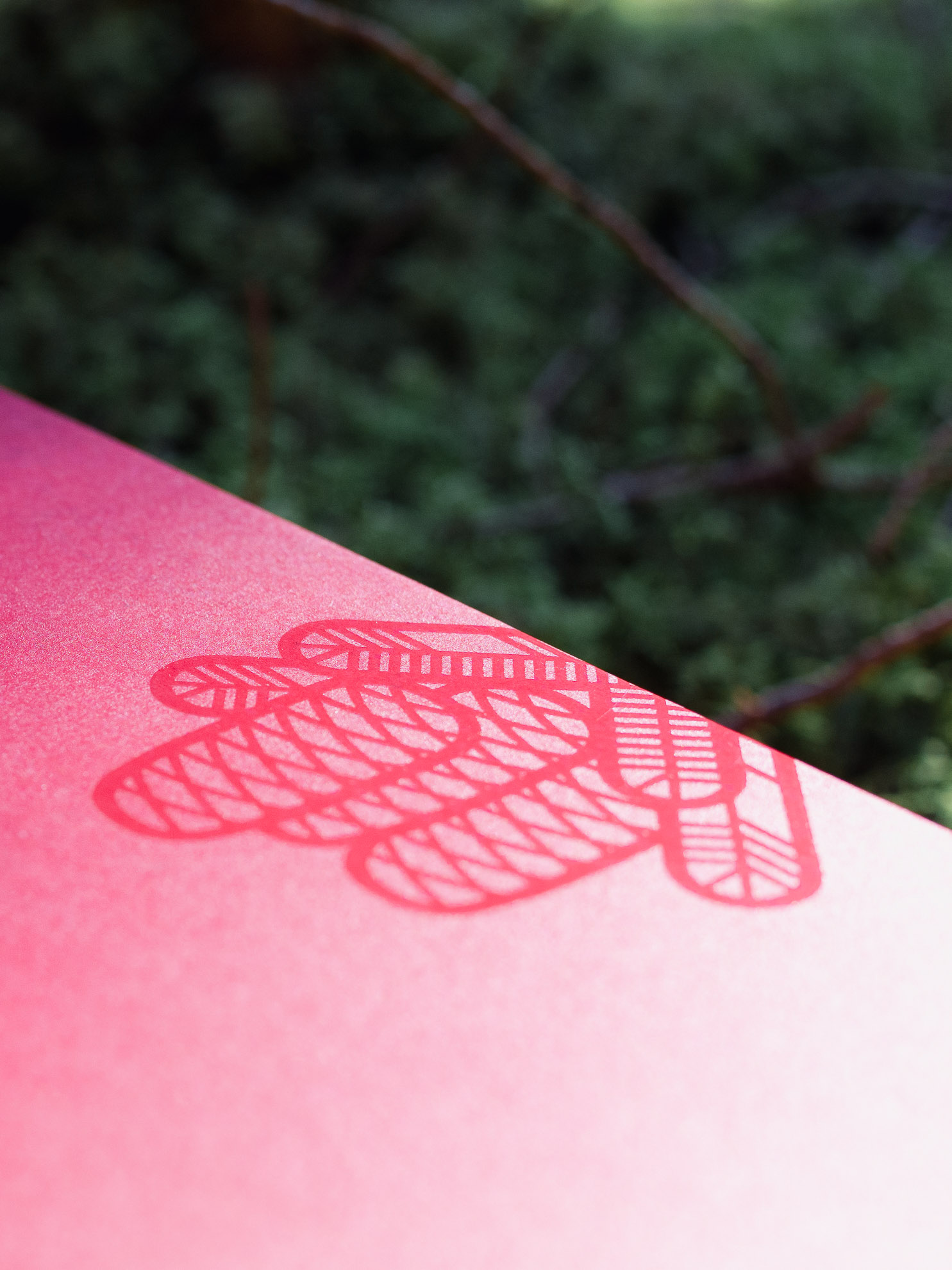 PUMA x Rothaus Indoor Tannenzäpfle Verpackung