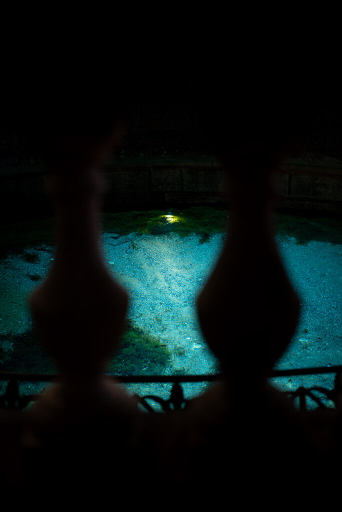 Donauquelle durch die Abgrenzung der Pfosten mit Sicht in das Quellbecken