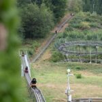 Sommerrodelbahn Gutach: Schlitten auf der Liftauffahrt und der Kreisel der Bahn am bewaldeten Hang